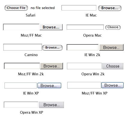The default look of a file select control in Safari, Camino, IE (Mac, Win 2000, Win XP), Firefox (Mac, Win 2000, Win XP), and Opera (Mac, Win 2000, Win XP)