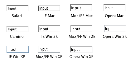 The default look of a single line text input button in Safari, Camino, IE (Mac, Win 2000, Win XP), Firefox (Mac, Win 2000, Win XP), and Opera (Mac, Win 2000, Win XP)